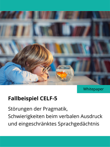 CELF-5 Fallbeispiel (Boris)