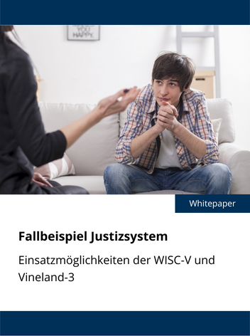 Justizsystem Fallbeispiel (Vineland-3 & WISC-V)