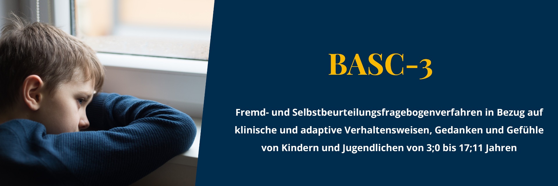 BASC-3 Banner